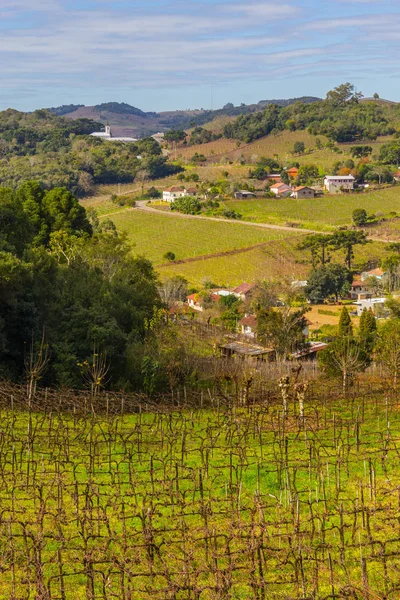 Village and Vineyards in winter, Vale dos Vinhedos valley — Stock Photo, Image