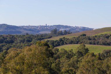 Kış, Vale dos Vinhedos Vadisi üzüm bağları