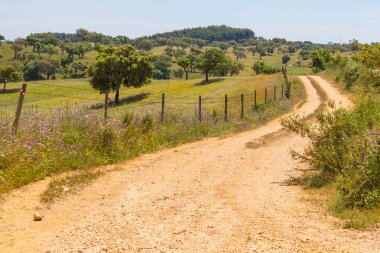 Vale Seco, Santiago do Cacem Farm road