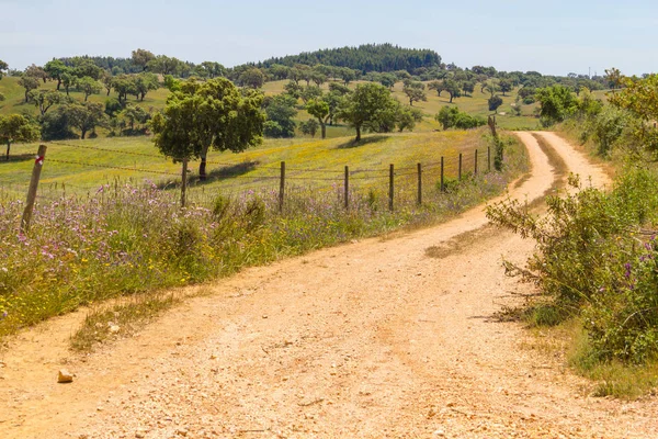 Vale Seco, Santiago do Cacem Farm road
