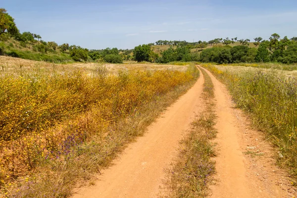 Vale Seco, Santiago do Cacem Farm road