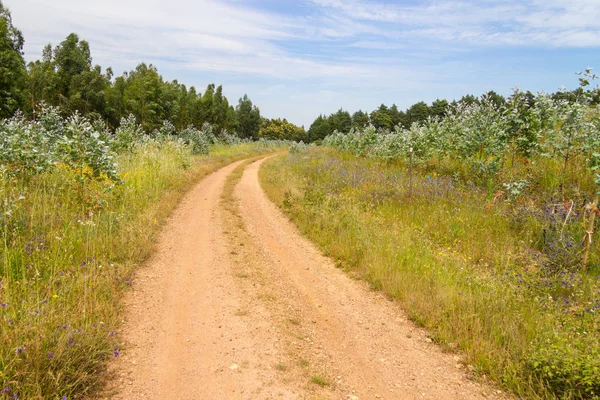 Vale Seco, Cercal Farm road
