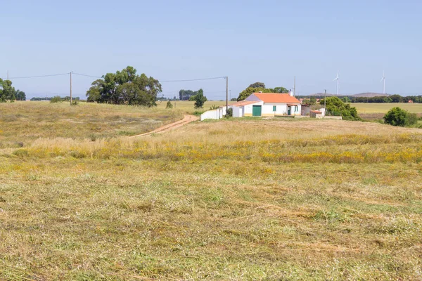 Farm house and wheat plantation  in Porto Covo