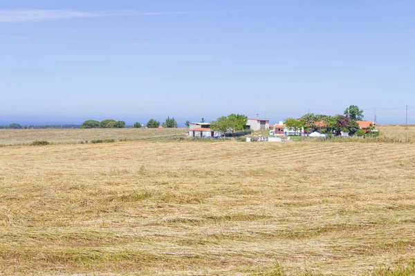 Farm house and wheat plantation  in Porto Covo