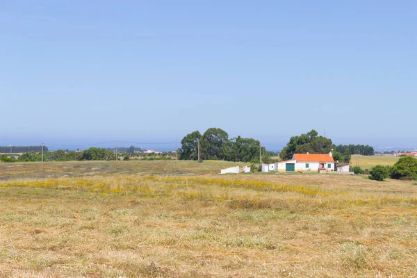 Farm house i pszenicy plantacji w Porto Covo — Zdjęcie stockowe