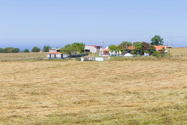 Farm house and wheat plantation  in Porto Covo