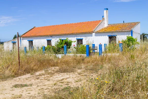 Portekizce ev ve Porto Covo çiçeklenir