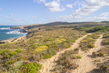 İz ve Porto Covo Beach'de