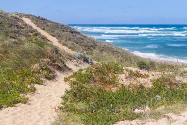 Trails in Queimado beach,  Vila Nova de Milfontes