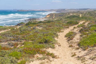 Trails in Queimado beach,  Vila Nova de Milfontes
