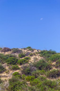Ay ve dunes Queimado Beach, Vila Nova de Milfontes