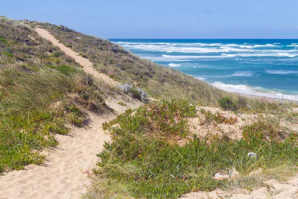 Trails in Queimado beach,  Vila Nova de Milfontes — 스톡 사진