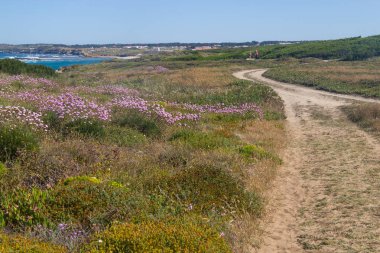 Vila Nova de Milfontes Beach'te trekking