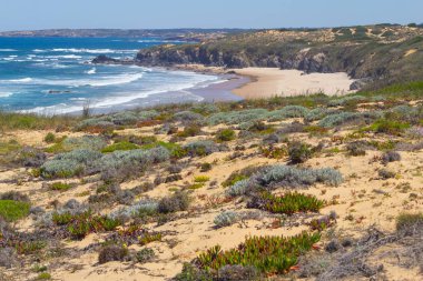 Plaj ve Almograve bitki örtüsü