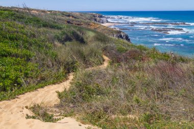 Plaj ve Almograve bitki örtüsü