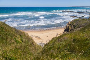 Uçurum ve Almograve bitki örtüsü ile plaj