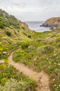 Kayalıklardan Zambujeira do Mar üzerinde iz