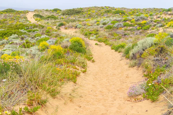 Odeceixe kayalıklardan üzerinde iz