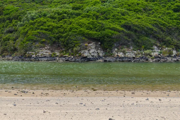 Ліс навколо річки Ribeira de Seixe в місті Odeceixe — стокове фото