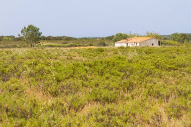 Çiftlik ve Aljezur alanında