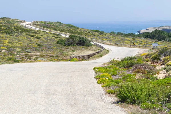 Yol, çiçek ve Arrifana beach