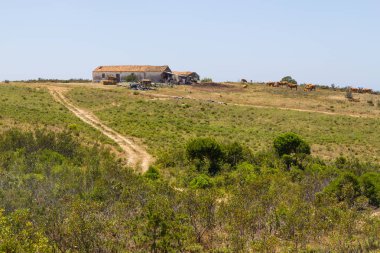 Arrifana bir çiftlikte Trail