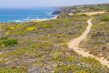 İz, uçurumlar, plaj ve dalgalar halinde Arrifana