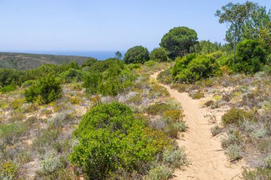 İz, uçurumlar, plaj ve dalgalar halinde Arrifana