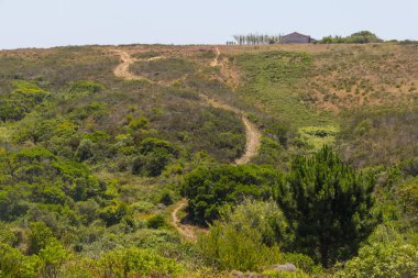 Arrifana bir çiftlikte Trail