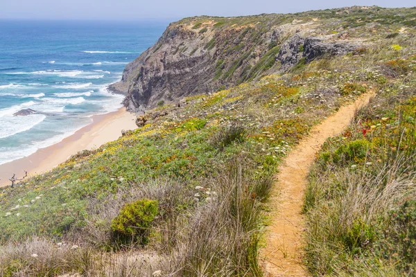 İz, uçurumlar, plaj ve dalgalar halinde Arrifana