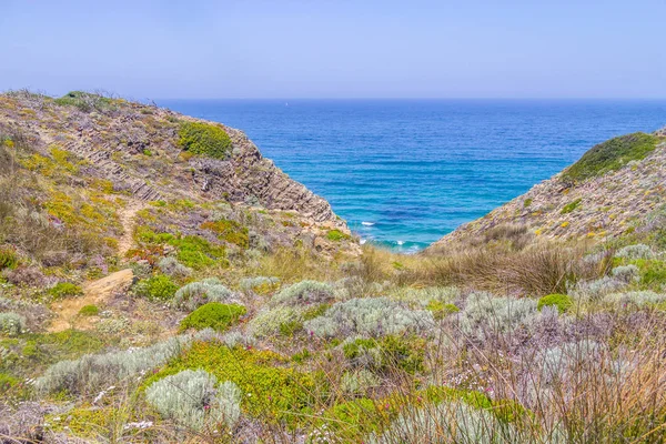 İz, uçurumlar, plaj ve dalgalar halinde Arrifana