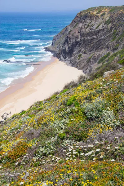 Kayalıklarla, plaj ve dalgalar halinde Arrifana