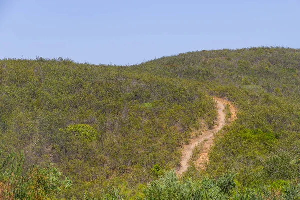 İz ve Arrifana bitki örtüsü