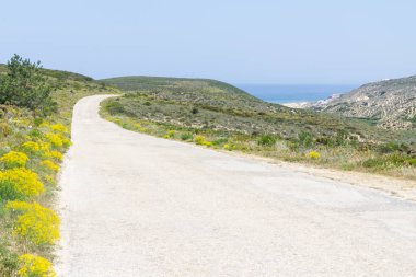 Arrifana 'da plaj, çiçekler ve dağ