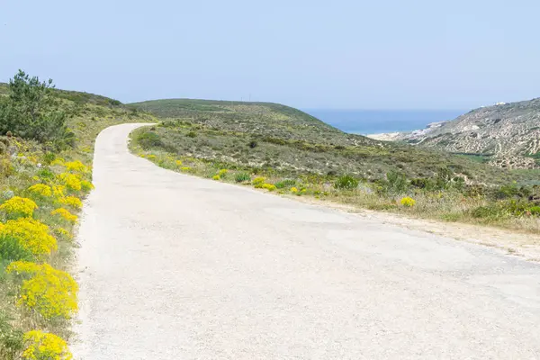 Arrifana 'da plaj, çiçekler ve dağ