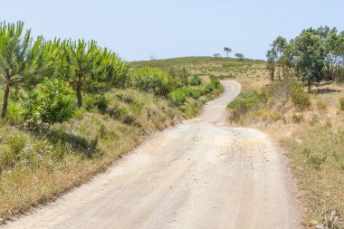 Kanal Beach dağda iz