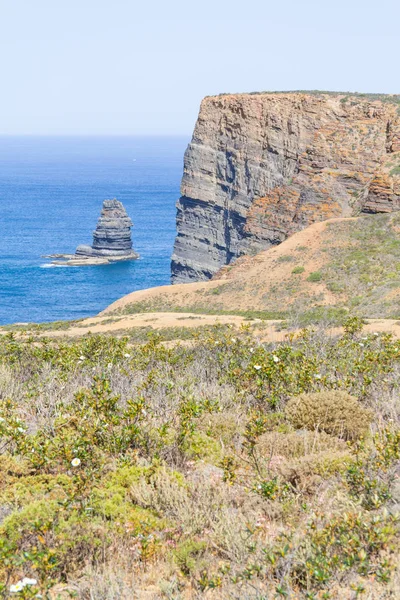 Scogliere, oceano, montagne e vegetazione ad Arrifana — Foto Stock