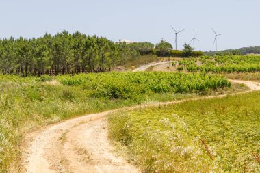 Dağ iz ve rüzgar çiftliği