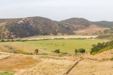 Dağlar ve bitki örtüsü iz