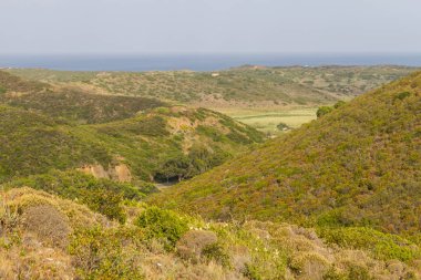 Carrapateira 'da bitki örtüsü tarafından dağlar kapak