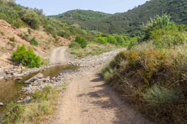 Sular altında yol ve Carrapateira ormanda
