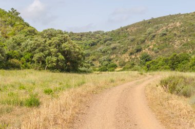 Ajezur dağın ve bitki örtüsü ile yolda