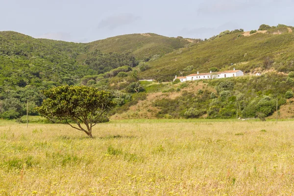 Casa sobre montaña y vegetación en Carrapateira — Foto de Stock