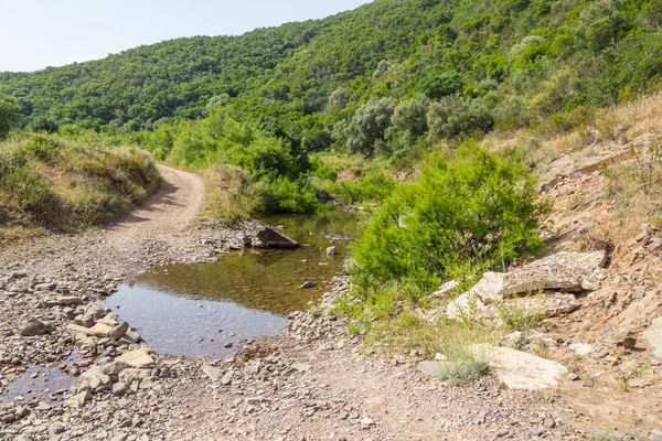 Sular altında yol ve Carrapateira ormanda