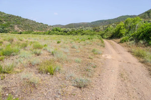 Ajezur dağın ve bitki örtüsü ile yolda