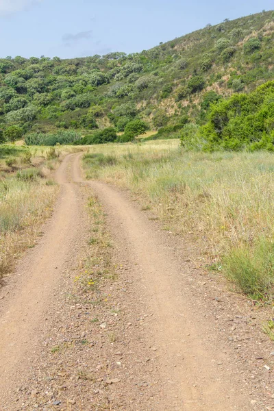 Ajezur dağın ve bitki örtüsü ile yolda