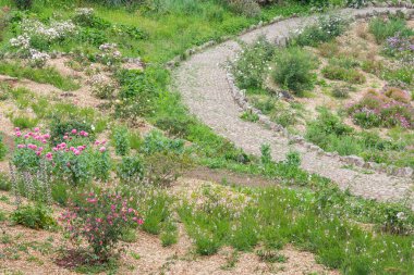Çiçekli bahçede iz