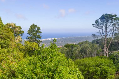 Sintra görünümünde sahil