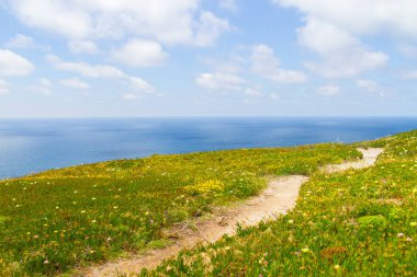Cabo da Roca içinde iz