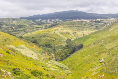 Cabo da Roca Vadisi